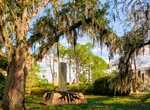 Visit The Sydney and Walda Besthoff Sculpture Garden, New Orleans, Louisiana