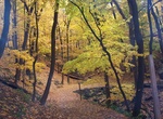 Explore Matthiessen State Park, Illinois