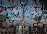 Visit Rahmat International Wildlife Museum & Gallery, Medan, Indonesia