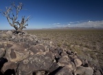 Visit Cocoraque Butte Archaeological District, Ironwood Forest National Monument, Arizona