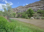 Fish at Sheeps Crossing Fishing Site, Prescott National Forest, Arizona
