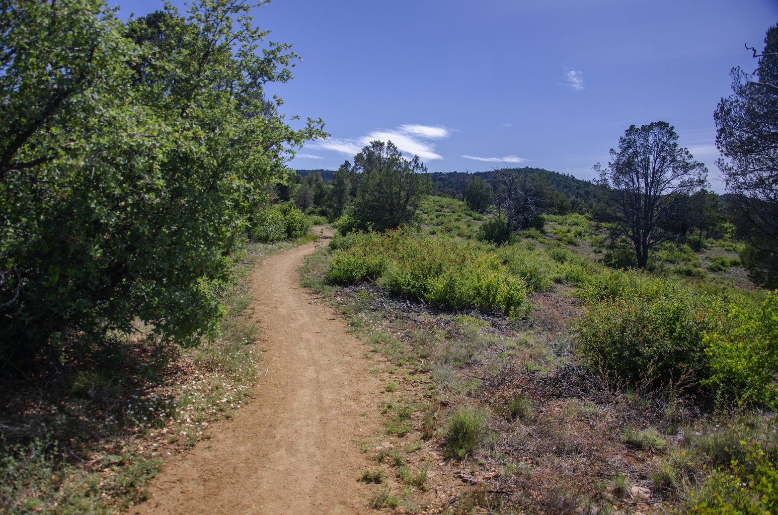 Ranch Trail #62