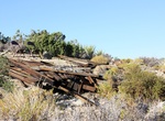 Explore Stubby Springs Loop Trail (Juniper Flats), Joshua Tree National Park, California