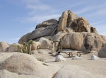 Camp at Belle Campground, Joshua Tree National Park