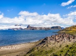 Visit Aitcho Islands (South Shetland Islands), Antarctica