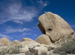 See Whale Rock (Joshua Tree), California