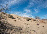 Hike Pinto Basin Sand Dunes Trail (Turkey Flats), Joshua Tree National Park, California