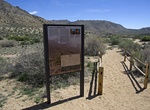 Explore Covington Flats Picnic Area, Joshua Tree National Park, California
