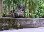 Visit The Sacred Monkey Forest Sanctuary, Bali, Indonesia