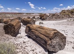 Hike Onyx Bridge & Angel's Garden, Petrified Forest National Park, Arizona