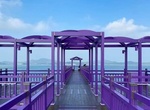 Visit Purple Island (Banwol-do) South Korea