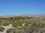 Explore Thousand Palms Oasis Preserve, California