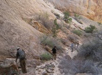 Hike Headquarters Canyon, Capitol Reef National Park, Utah