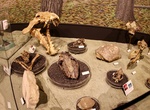 Visit Thomas Condon Paleontology and Visitor Center, John Day Fossil Beds National Monument, Oregon