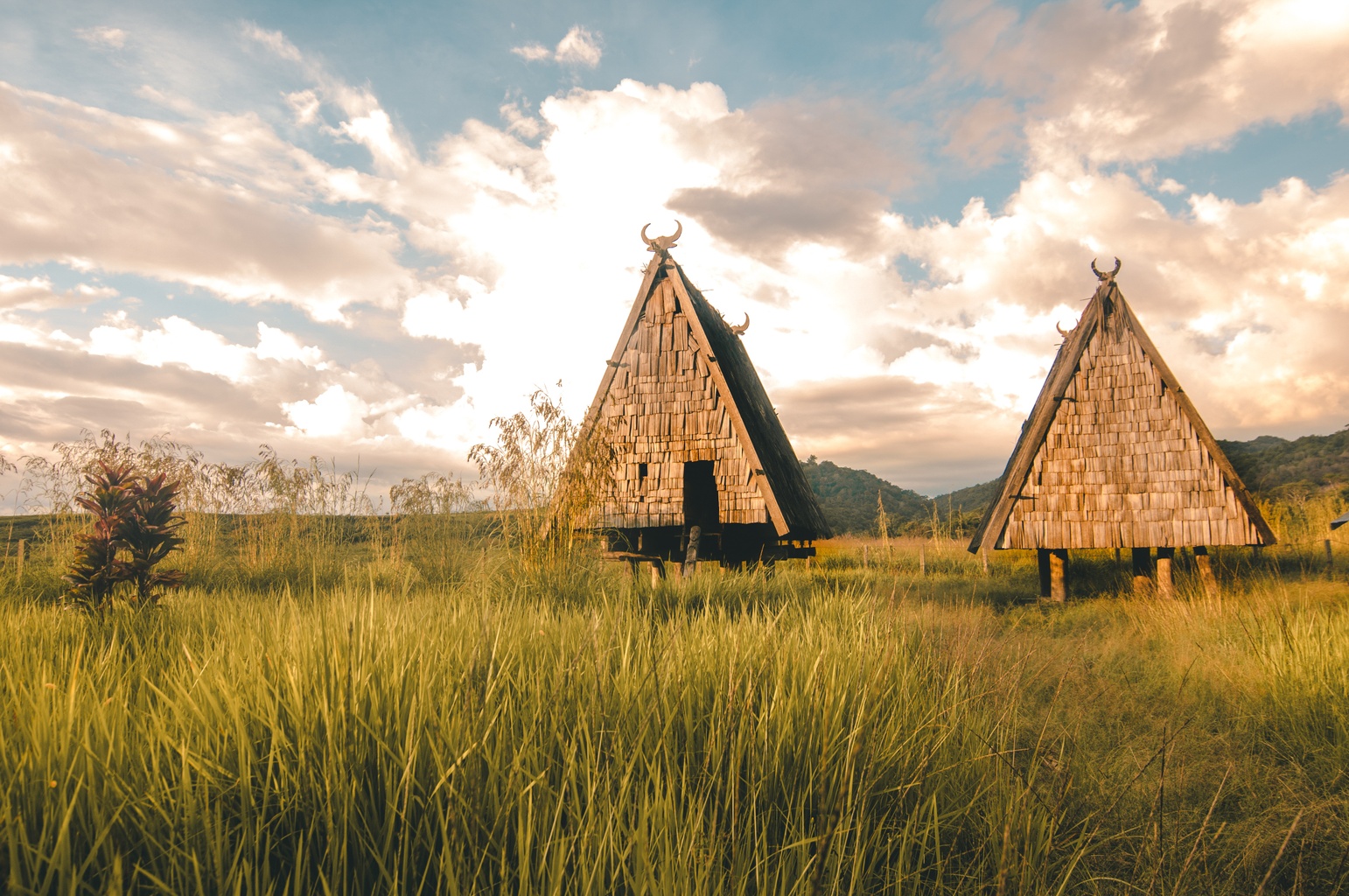 Lore Lindu National Park