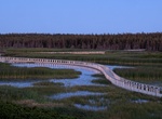 Hike Greenwich Parabolic Dunes Trail, Prince Edward Island National Park, Canada