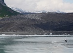See Grand Pacific Glacier, Glacier Bay National Park, Alaska