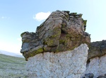 Hike Toll Memorial Trail (Tundra Communities Trail) to Mushroom Rocks, Rocky Mountain National Park, Colorado