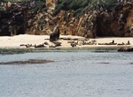 Visit Simonton Cove, San Miguel Island, California