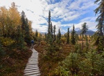 Hike Beaver Pond Loop Trail, Lake Clark National Park, Alaska