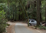 Camp at Sempervirens Campground, Big Basin Redwoods State Park, California