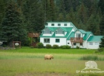 Stay at Alaska Homestead Lodge, Soldotna, Alaska