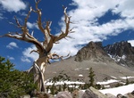 Hike Bristlecone Trail, Great Basin National Park, Nevada