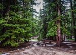 Camp at Wheeler Peak Campground, Great Basin National Park, Nevada