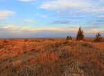 Explore Juniper Dunes Wilderness, Washington