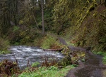 Hike Trail of Ten Falls, Silver Falls State Park, Oregon