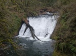 Hike to Lower North Falls, Silver Falls State Park, Oregon