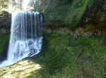 Hike to Middle North Falls, Silver Falls State Park, Oregon