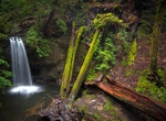 Hike to Sempervirens Falls, Big Basin Redwoods State Park, California