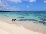Visit Kaiona Beach Park, Oahu, Hawaii