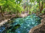 Visit Mataranka Thermal Pool and Rainbow Springs, Elsey National Park, Northern Territory, Australia