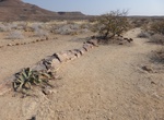 Visit Khorixas Petrified Forest, Namibia