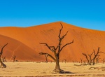 Visit Deadvlei (Dead Vlei), Namibia