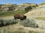 Explore North Unit, Theodore Roosevelt National Park, North Dakota