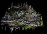 Explore Parque Nacional de las Cavernas del Río Camuy, Puerto Rico