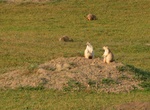 Hike to Prairie Dog Town via the  Buckhorn Trail, Theodore Roosevelt National Park, North Dakota