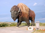 See World's Largest Buffalo, Jamestown, North Dakota