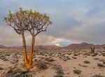 Camp at Kokerboomkloof, Richtersveld Transfrontier Park, Namibia