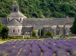 Visit Sénanque Abbey, Provence, France