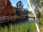 Explore Karlamilyi National Park, Western Australia