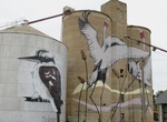 See Tungamah Silo Art, Tungamah, Victoria, Australia