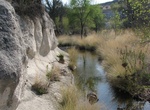 Hike Coal Mine Spring Trail, Sonoita Creek State Natural Area, Arizona