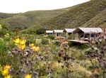 Stay at Gondwana Tented Eco Camp, Gondwana Private Game Reserve, South Africa