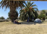Camp at Little Harbor Campground, Catalina Island, California
