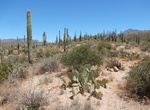 Hike Coyote Pass, Thunderbird & Cactus Canyon Trails, Saguaro National Park, Arizona