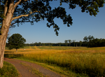 Visit The Deep Cut, Manassas National Battlefield Park, Virginia